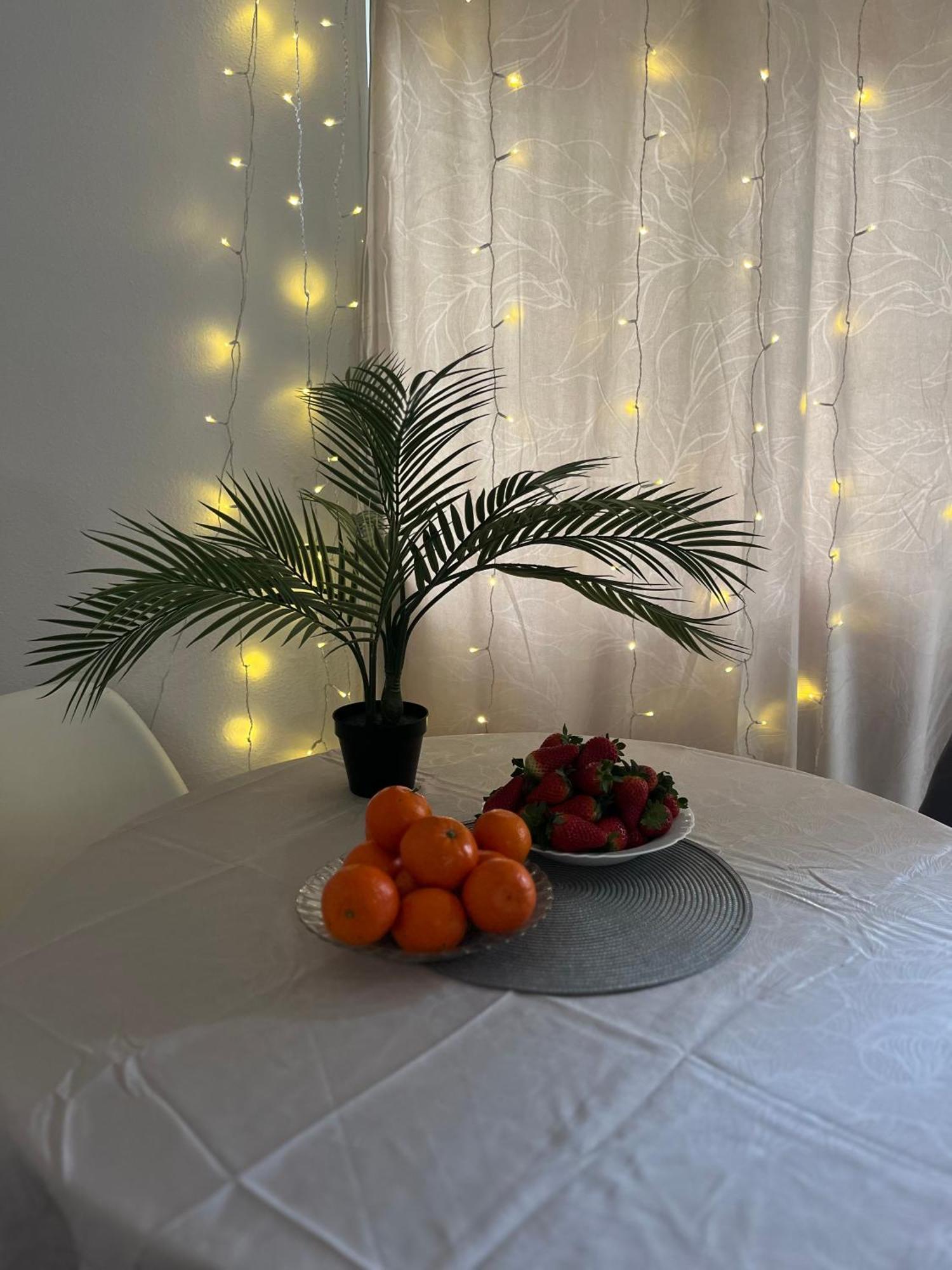 Magdalena Apartament تورّيفيِخا المظهر الخارجي الصورة